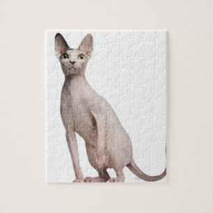 Sphynx (13 maanden oud) legpuzzel