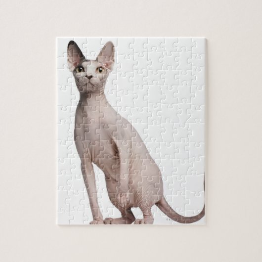 Sphynx (13 maanden oud) legpuzzel (Verticaal)