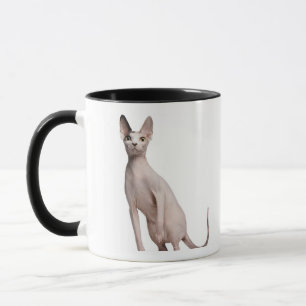 Sphynx (13 maanden oud) mok