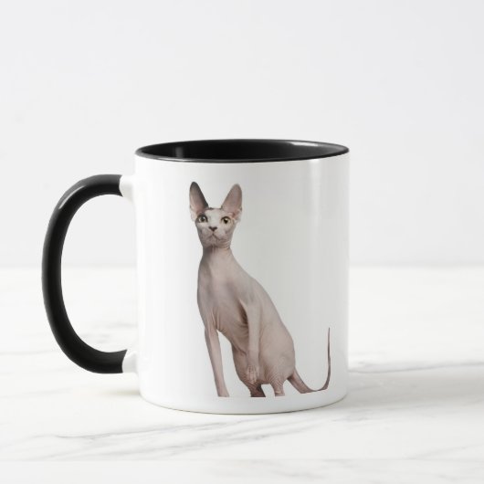 Sphynx (13 maanden oud) mok (Links)