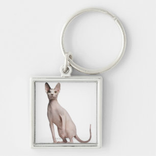 Sphynx (13 maanden oud) sleutelhanger