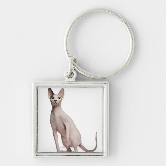 Sphynx (13 maanden oud) sleutelhanger (Voorkant)