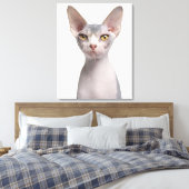 Sphynx (7 maanden oud) canvas afdruk (Insitu (Slaapkamer))