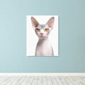Sphynx (7 maanden oud) canvas afdruk (Insitu (Houten vloer))