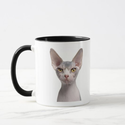 Sphynx (7 maanden oud) mok (Links)