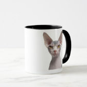 Sphynx (7 maanden oud) mok (Voorkant rechts)