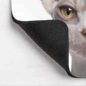 Sphynx (7 maanden oud) muismat (Hoek)