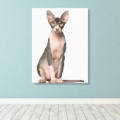 Sphynx (7 maanden oud) zittend canvas afdruk (Insitu (Houten vloer))