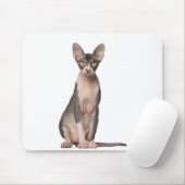 Sphynx (7 maanden oud) zittend muismat (Met muis)