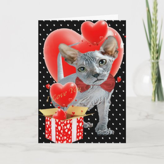 Sphynx Box of Hearts Moederdag Kaart (Voorkant)