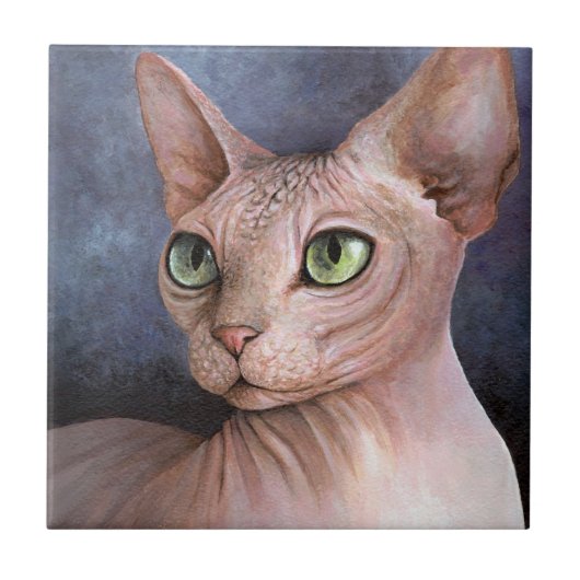 Sphynx Cat 578 Tegeltje (Voorkant)