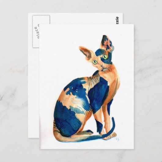 Sphynx Cat 6 Briefkaart (Voorkant / Achterkant)