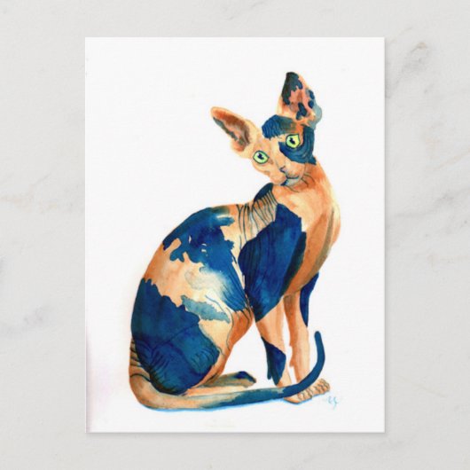 Sphynx Cat 6 Briefkaart (Voorkant)