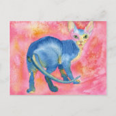 Sphynx Cat 7 Briefkaart (Voorkant)