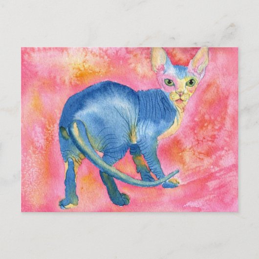 Sphynx Cat 7 Briefkaart (Voorkant)