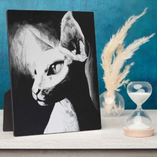 Sphynx Cat Black White Contrast Kat Portret Art Fotoplaat