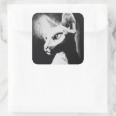 Sphynx Cat Black White contrastloos haarloos Kat A Vierkante Sticker (Tas)