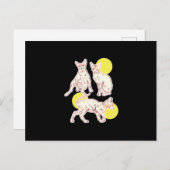 Sphynx Cat Briefkaart (Voorkant / Achterkant)