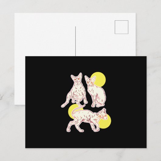Sphynx Cat Briefkaart (Voorkant / Achterkant)