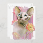 Sphynx Cat Briefkaart (Voorkant / Achterkant)