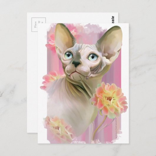 Sphynx Cat Briefkaart (Voorkant / Achterkant)