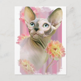 Sphynx Cat Briefkaart