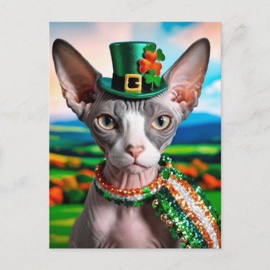 Sphynx Cat Briefkaart St. Patrick's Day Ierland (Voorkant)