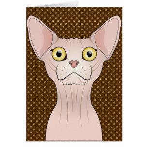 Sphynx Cat Cartoon Paws