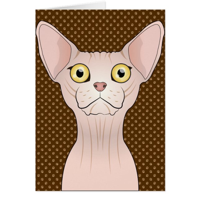 Sphynx Cat Cartoon Paws (Voorkant)