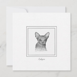 Sphynx Cat Chalk Dradenkaart Notitiekaartje