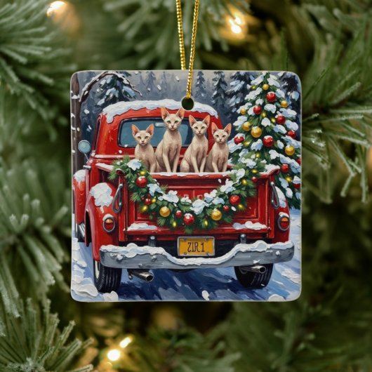 Sphynx Cat Christmas Red Truck Holiday Keramisch Ornament (Boom)