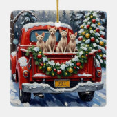 Sphynx Cat Christmas Red Truck Holiday Keramisch Ornament (Achterkant)