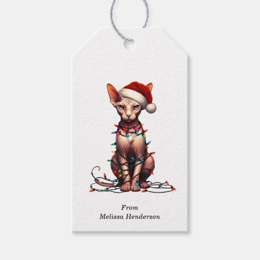 Sphynx Cat Gift Labels Cadeaulabel (Voorkant)