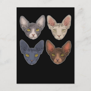 Sphynx Cat Gift voor mannen Sphynx Cat Briefkaart