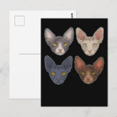 Sphynx Cat Gift voor mannen Sphynx Cat Briefkaart (Voorkant / Achterkant)