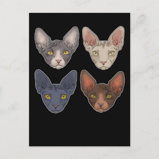 Sphynx Cat Gift voor mannen Sphynx Cat Briefkaart (Voorkant)