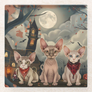 Sphynx Cat Halloween Spooky Glazen Onderzetter