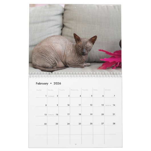 Sphynx Cat Humor Art | Flexible Quote Design Kalender (Feb 2026)