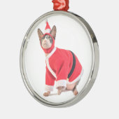 Sphynx Cat in Santa Claus Suit Ornament (Links)