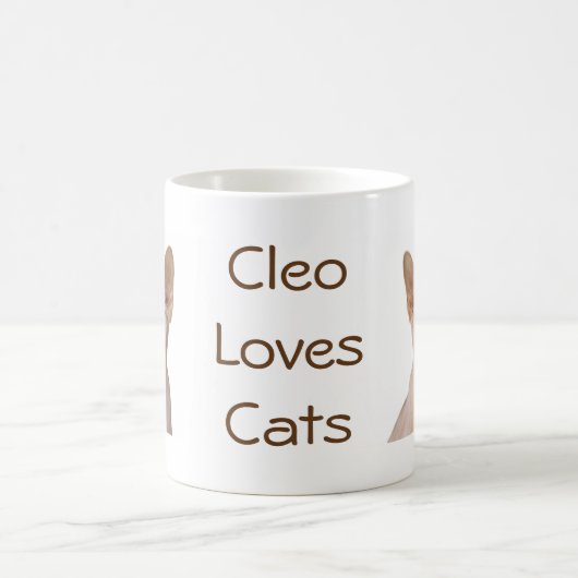 Sphynx Cat Koffiemok (Center)