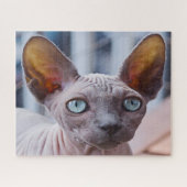 Sphynx Cat. Legpuzzel (Horizontaal)
