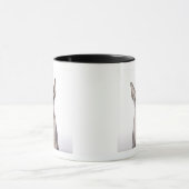 Sphynx Cat met tong uit Mok (Midden)