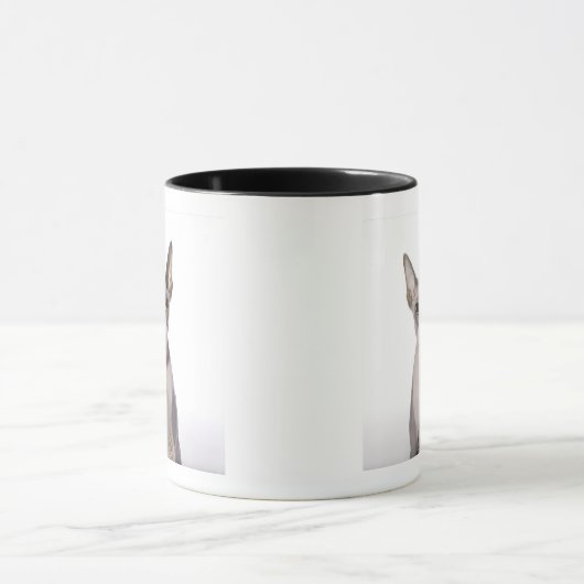 Sphynx Cat met tong uit Mok (Midden)