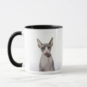 Sphynx Cat met tong uit Mok (Links)