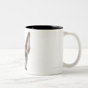 Sphynx Cat met tong uit Tweekleurige Koffiemok