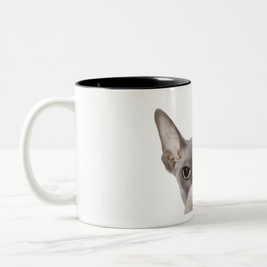 Sphynx Cat met tong uit Tweekleurige Koffiemok (Links)