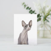 Sphynx Cat met verraste expressie Briefkaart (Staand voorkant)
