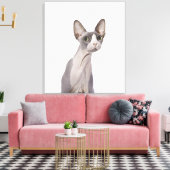 Sphynx Cat met verraste expressie Canvas Afdruk (Insitu (Woonkamer))