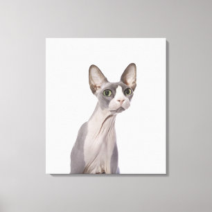 Sphynx Cat met verraste expressie Canvas Afdruk