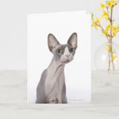 Sphynx Cat met verraste expressie Kaart (Gele Bloem)